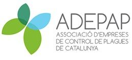 Logo adepap